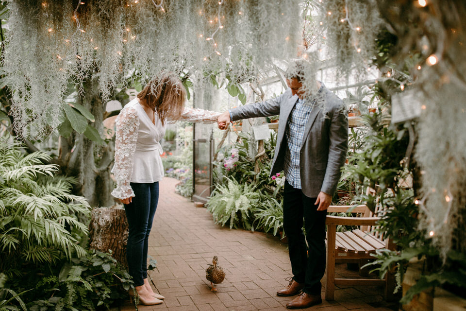 couple with duck during engagement session at Lamberton Conservatory 